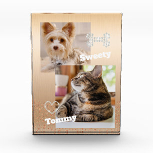 Glitering Pet Gold Photo Block