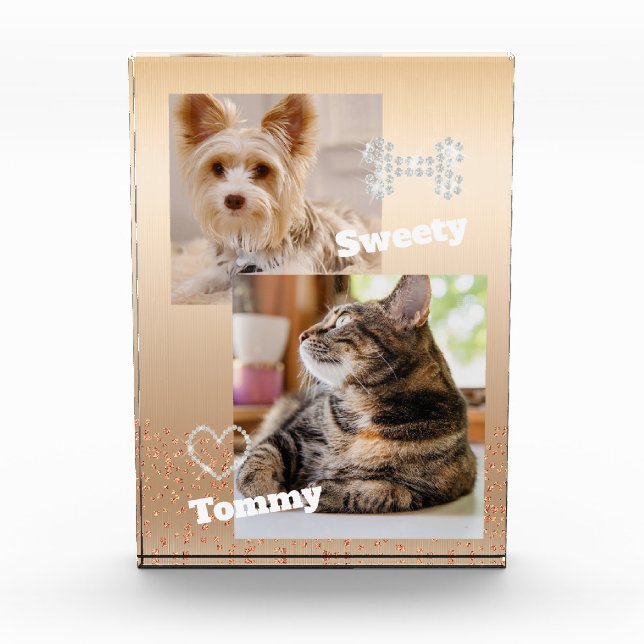 Glitering Pet Gold Photo Block (Front)