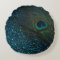 Glittery Aqua Blue Peacock