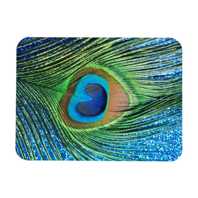 Glittery Blue Peacock Feather Still Life Magnet (Horizontal)