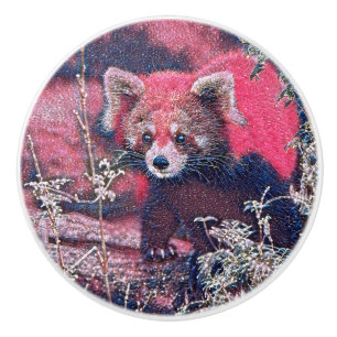 GlitzyAnimal_RedPanda_005 Ceramic Knob