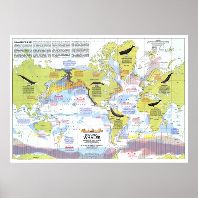 " Global: 1976 - Wale der Welt Wanderkarte ... Poster (Front)