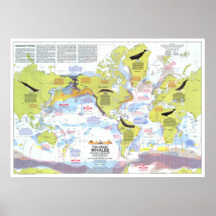 " Global: 1976 - Whales of the world hiking map .. Poster