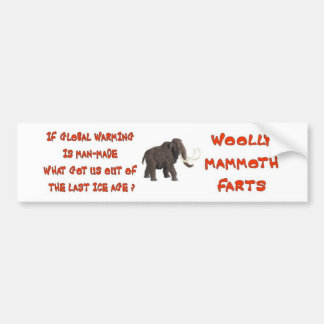 GLOBAL WARMING HOAX BUMPER STICKER
