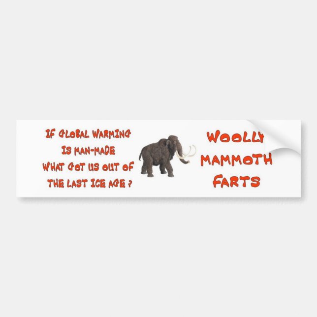 GLOBAL WARMING HOAX BUMPER STICKER (Front)