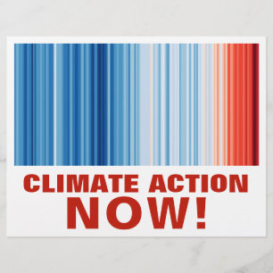 Global Warming Stripes Climate Change Crisis Earth Flyer
