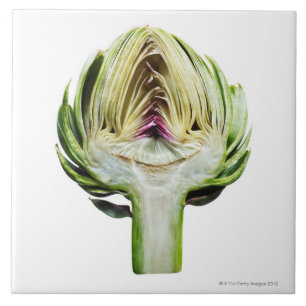 Globe artichoke half cut out tile