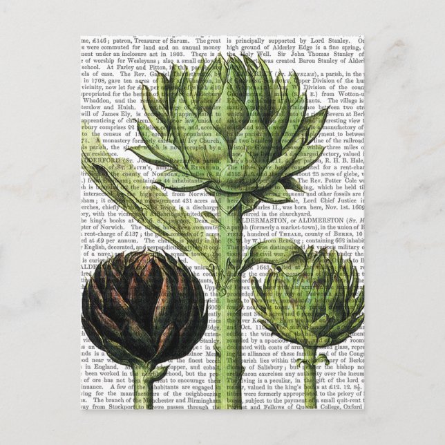 Globe Artichoke Print 2 Postcard (Front)
