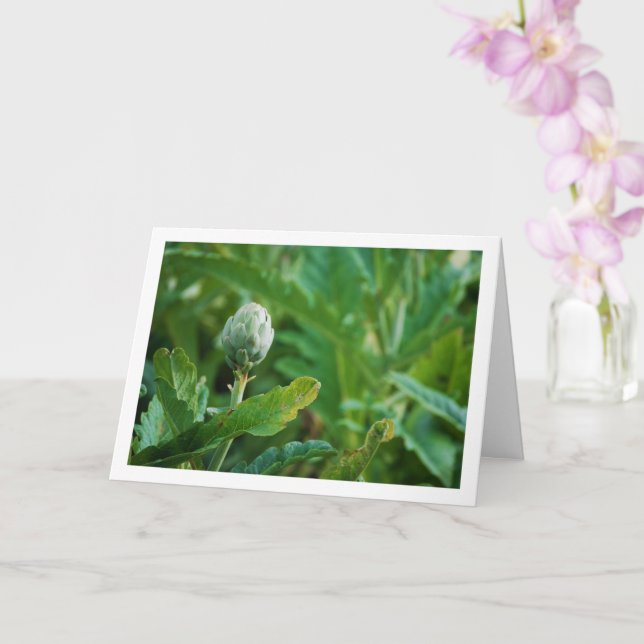 Globe Artichoke Thistle Plant Card (Orchid)