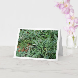 Globe Artichoke Thistle Plants Card