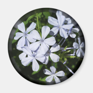Globe of flowers magnet
