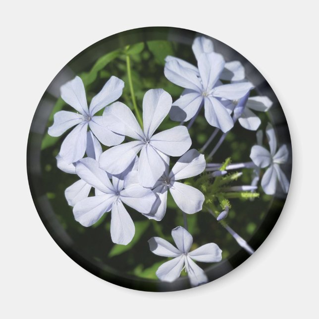 Globe of flowers magnet (Front)