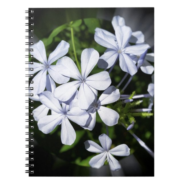 Globe of flowers notebook (Front)
