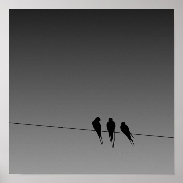 Glooming Blackbirds Silhouette on Wire Poster (Front)