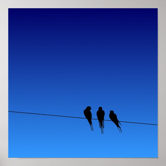 Glooming Blackbirds Silhouette on Wire Poster (Front)
