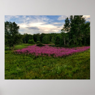 Glories of Maine Poster