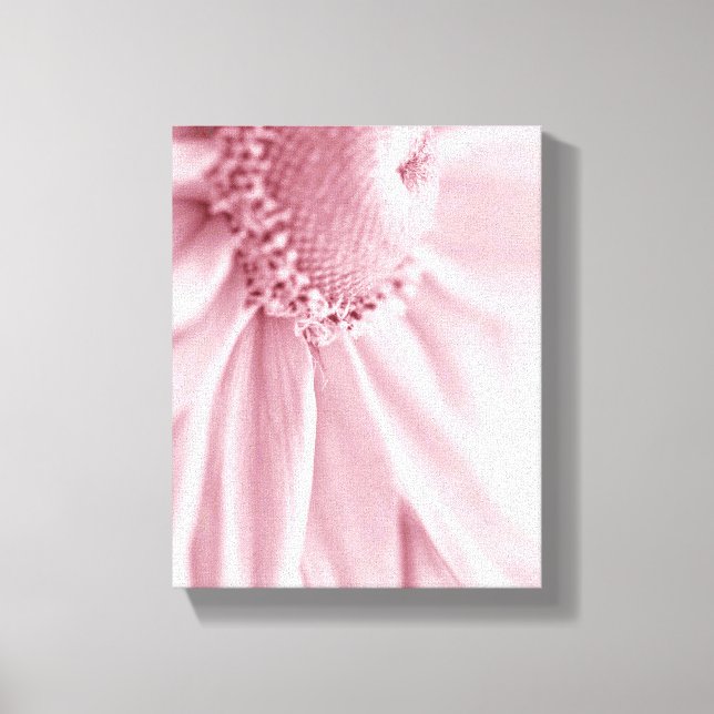 Gloriosa Daisy Macro Canvas Print (Front)