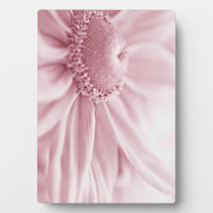 Gloriosa Daisy Macro Plaque