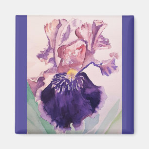 Glorioues Purple Iris Watercolor Painting Magnet