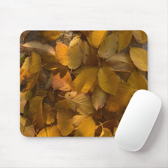 Glorious Autumn on a Mouse Pad (1) (With Mouse)
