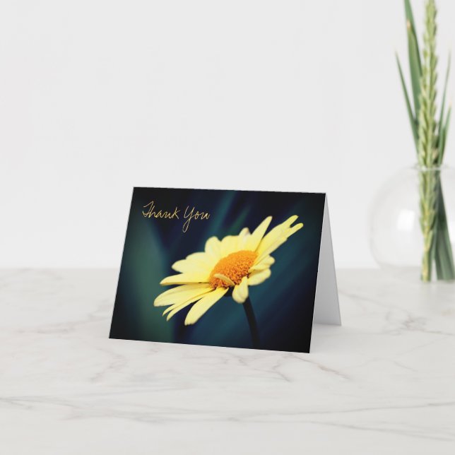 Glorious Daisy Flower Thank You Card (Front)