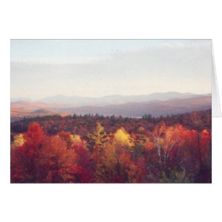 "Glorious fall colours"