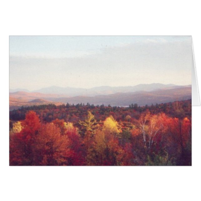 "Glorious fall colours" (Front Horizontal)