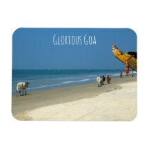 Glorious Goa - cows on the beach in South Goa