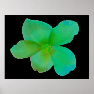 Glorious Green Begonia Print
