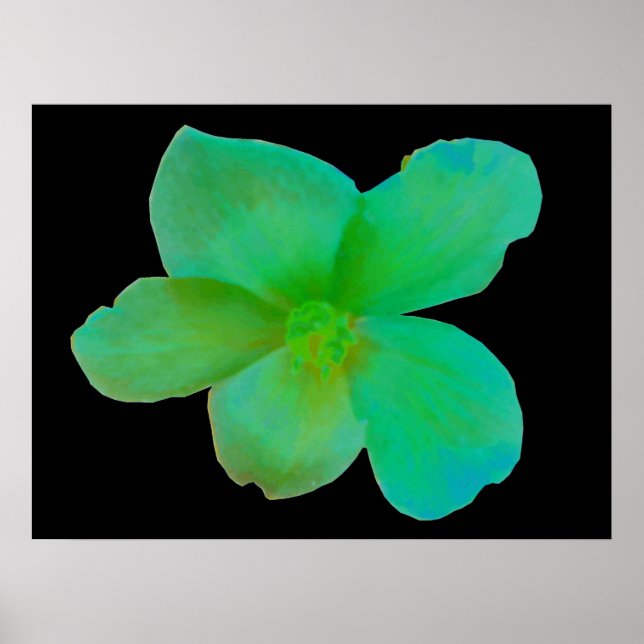 Glorious Green Begonia Print (Front)