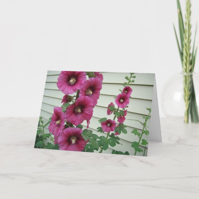 Glorious Hollyhocks Card (Front)