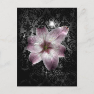 Glorious Mystery Postcard