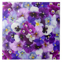 Glorious Pansies