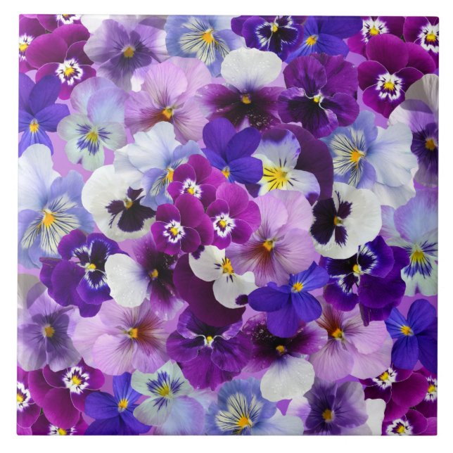 Glorious Pansies Tile (Front)