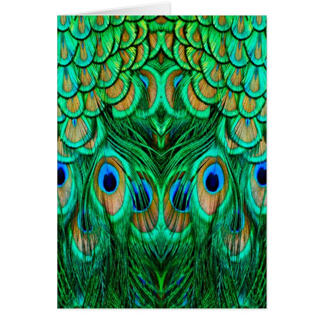 Glorious Peacock Feathers (Front)