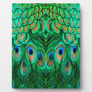 Glorious Peacock Feathers Plaque