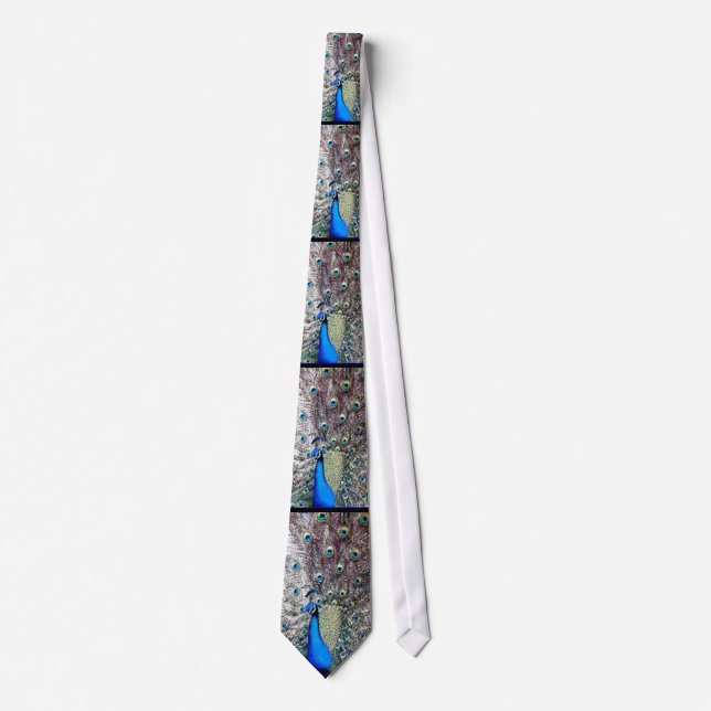 Glorious Peacock & Feathers Tie (Front)