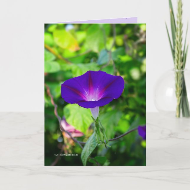 Glorious Solo Card (Front)