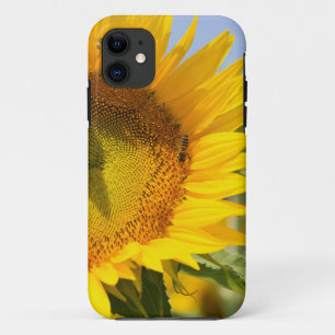 Glorious sunflowers! iPhone 11 case