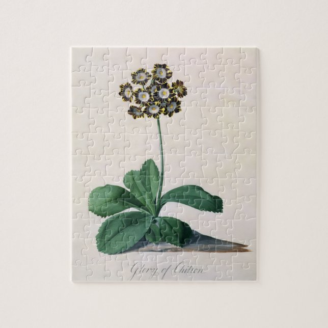 Glory of Chilton (gouache on vellum) Jigsaw Puzzle (Vertical)