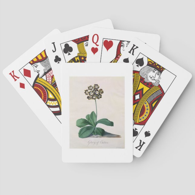 Glory of Chilton (gouache on vellum) Playing Cards (Back)