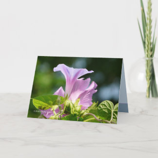 Glory of the Morning 1 Card