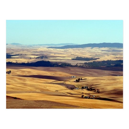Glory of the Palouse Postcard