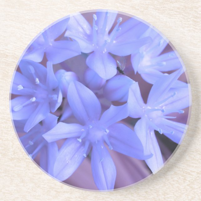 Glory Of The Snow Blue Coasters (Front)