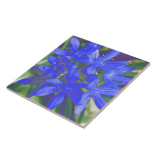 Glory of the Snow Fluorescent Blue Tile