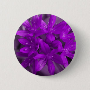 Glory Of The Snow Purple Button