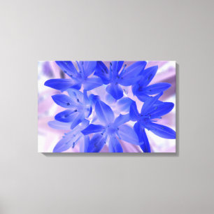 Glory of the Snow Shocking Blue Canvas Print