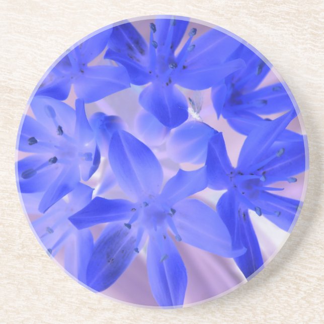 Glory Of The Snow Shocking Blue Coasters (Front)