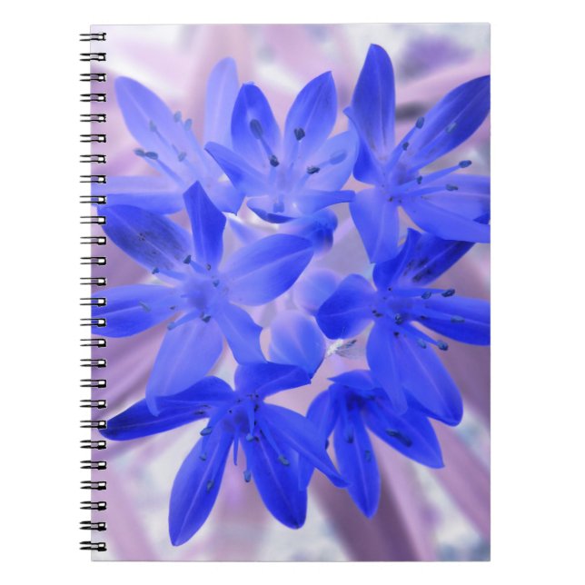 Glory of the Snow Shocking Blue Notebook (Front)