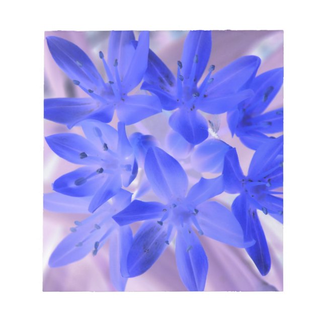 Glory of the Snow Shocking Blue Notepad (Front)